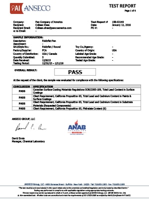Anesco Test Report Document