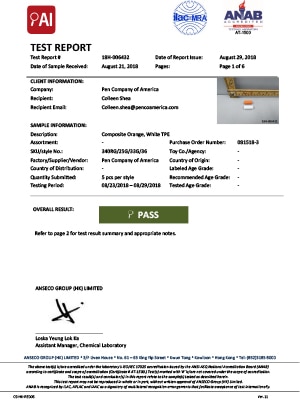 Test Report Document