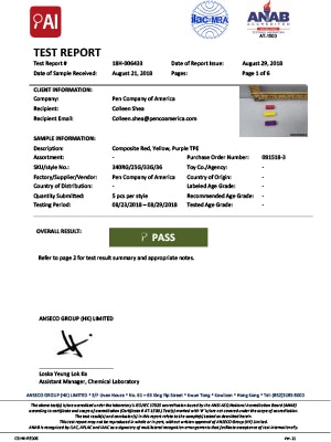 Test Report Document